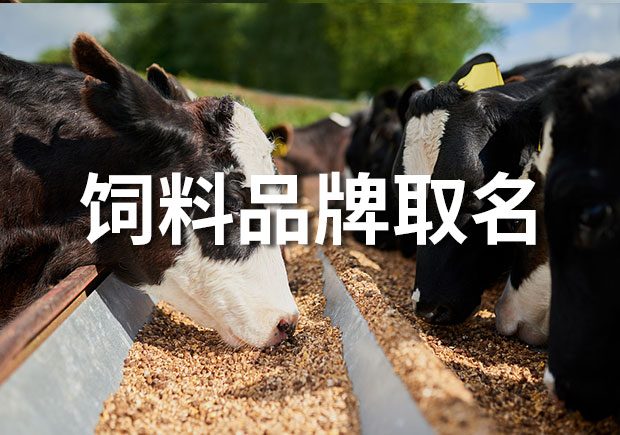 飼料品牌取什么名字好？