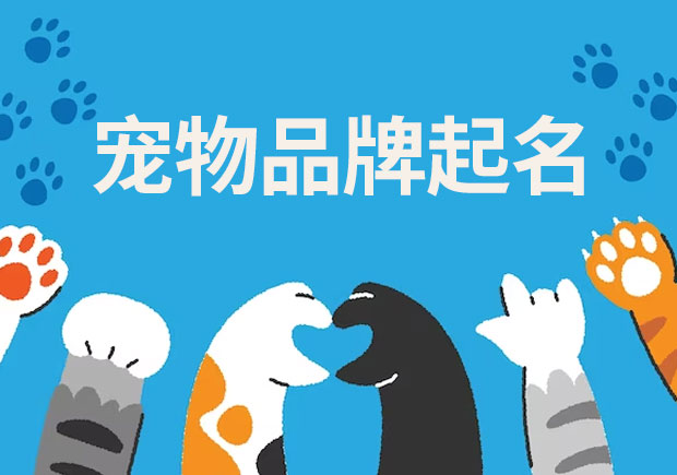 探索寵物品牌起名的奧秘：技巧、來(lái)歷與差異