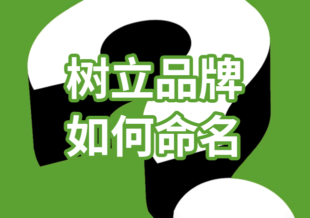 品牌獨角獸：樹立品牌如何命名，引爆市場熱潮
