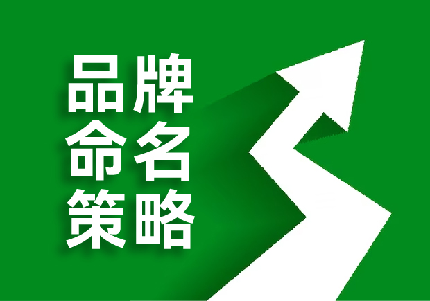 品牌命名的策略是什么，核心原則是這六點！